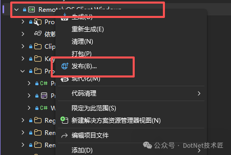 Visual Studio 项目右键菜单,选择发布选项