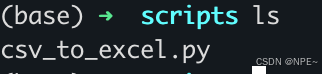 终端查看 scripts 文件夹，包含 csv_to_excel.py 文件