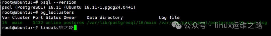 PostgreSQL版本与集群状态验证