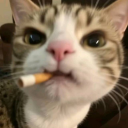 Android Linker加载流程示意图