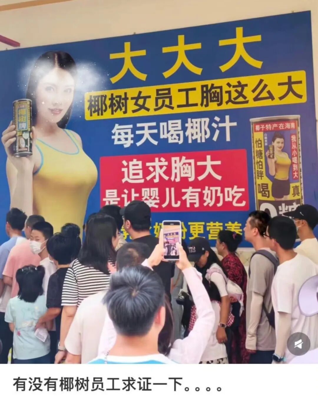 椰树厂区引发争议的广告标语墙