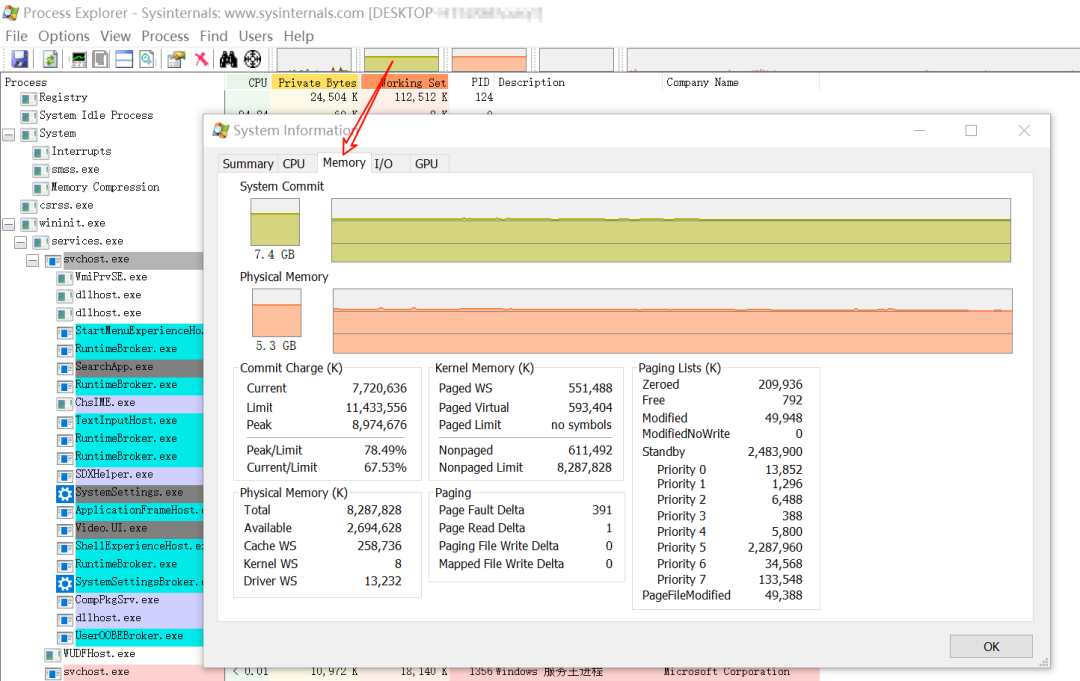Process Explorer系统信息内存监控视图