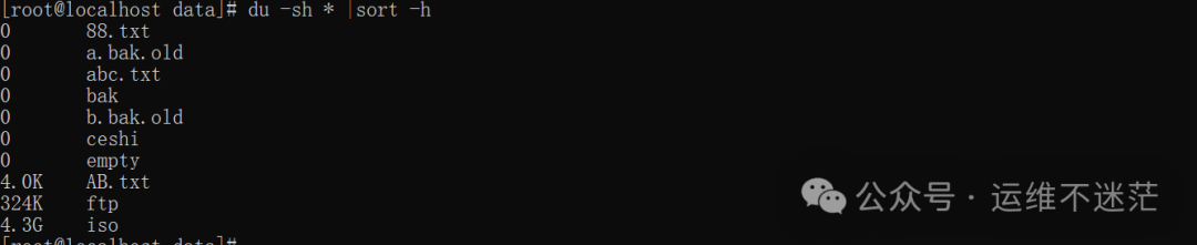 使用du和sort命令按大小排序目录内容