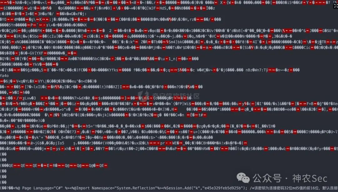 图片马的代码显示