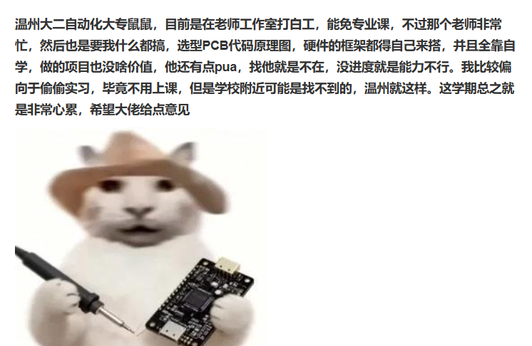 一只戴着牛仔帽的猫在焊接电路板，表情严肃，常用于技术相关的网络迷因