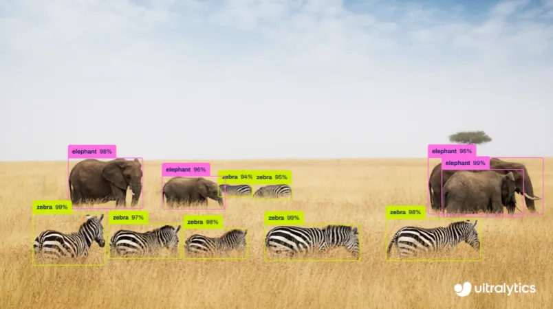 Ultralytics YOLO26 的目标检测应用示例