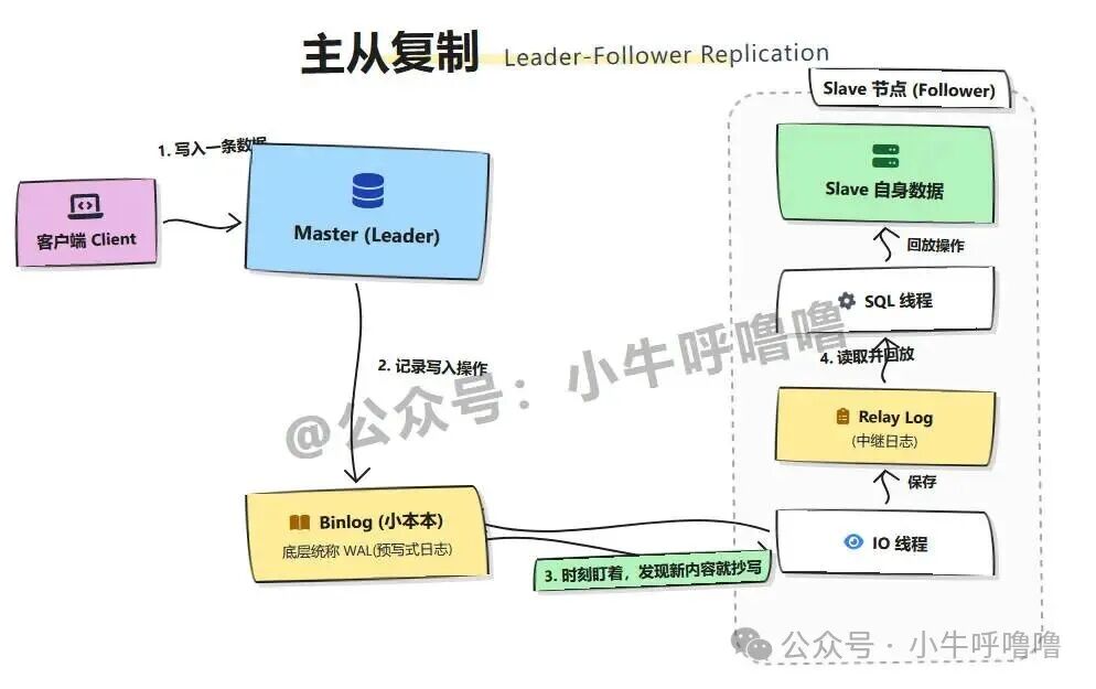 主从复制（Leader-Follower Replication）架构流程图