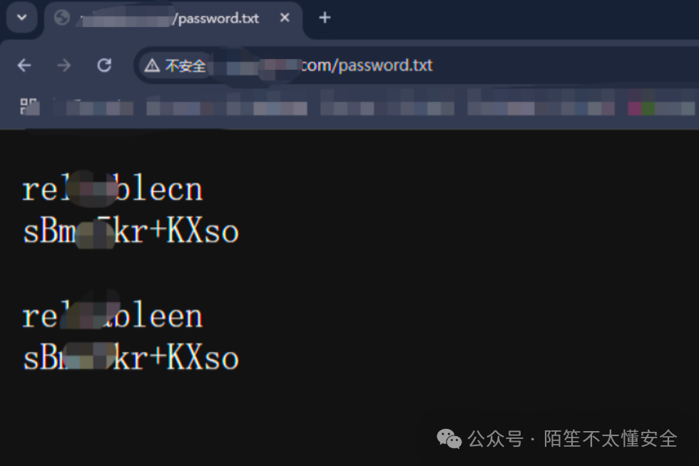 通过目录遍历访问到的password.txt文件内容