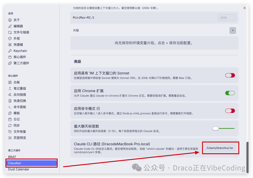 Claudian插件设置底部，填写Claude CLI路径