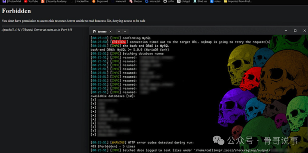 Ghauri在403错误下获取数据库