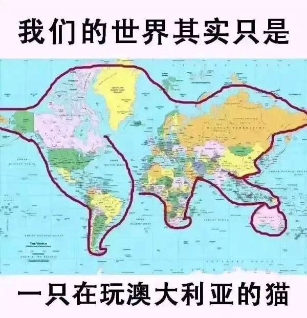 将世界地图轮廓幽默联想为一只猫的梗图