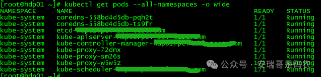 查看集群所有命名空间Pod状态