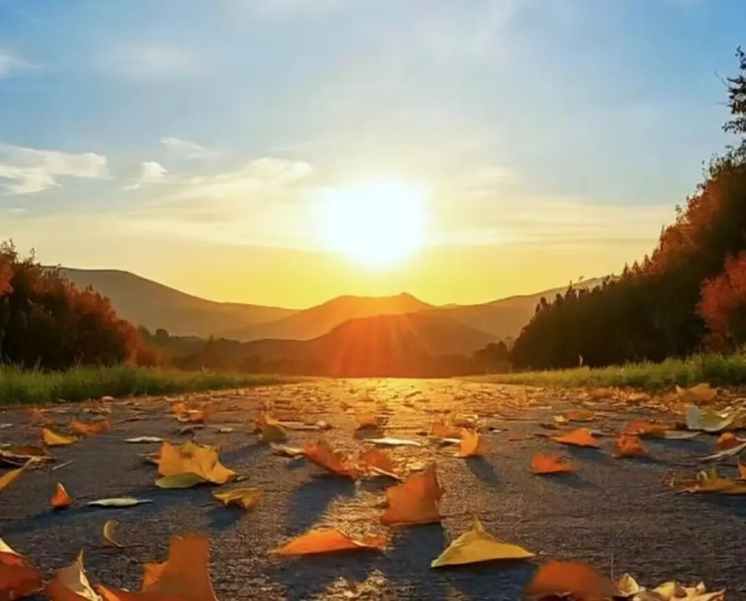 一张展示ggplot绘图效果的示意图