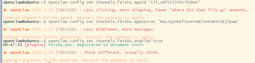 配置飞书通道命令行操作