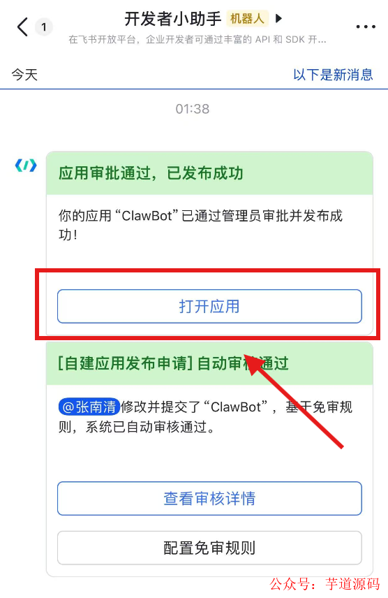 飞书开发者助手发送的应用发布成功通知截图