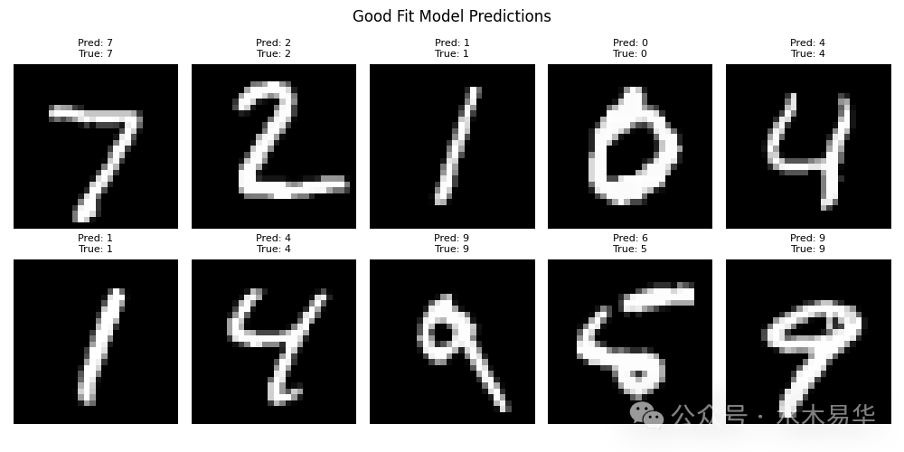 适度拟合模型在MNIST测试集上的预测结果示例