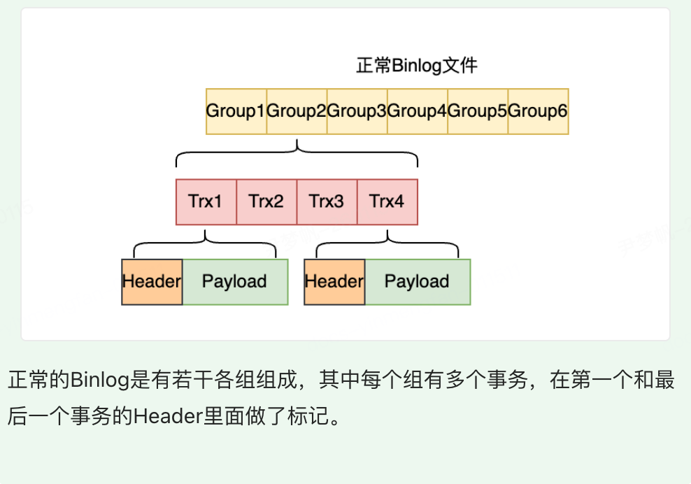 正常Binlog组结构
