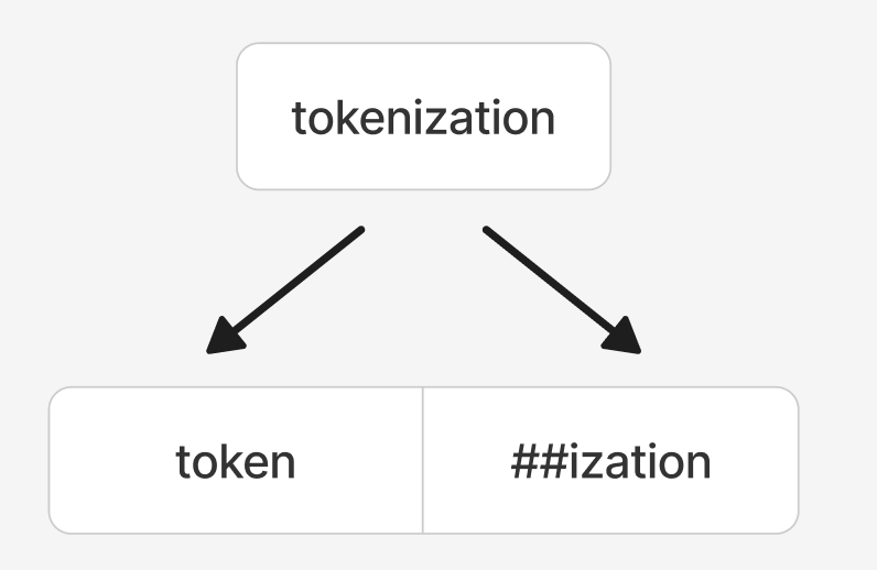 BERT实际分词效果示例
