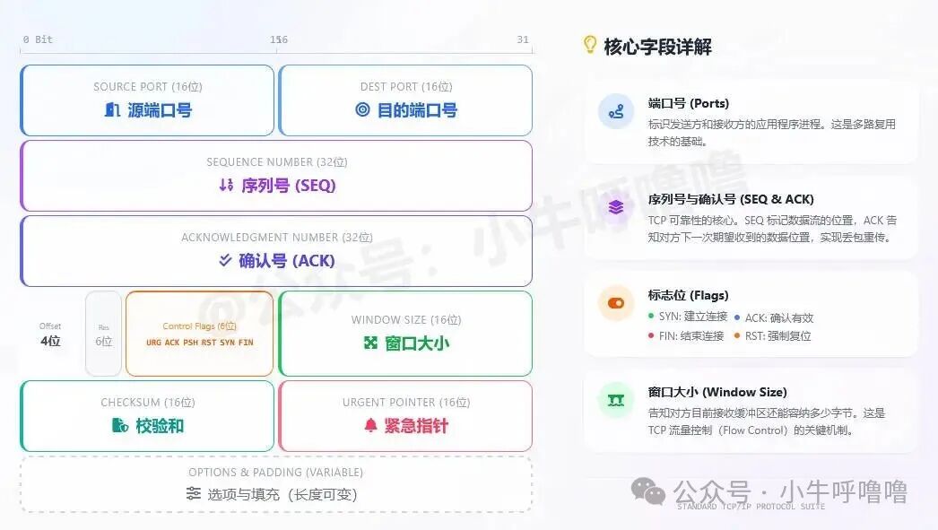 TCP报文头部结构图,标注窗口大小字段