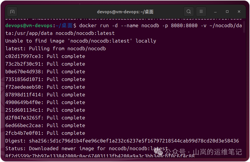 终端执行Docker命令拉取并启动NocoDB容器