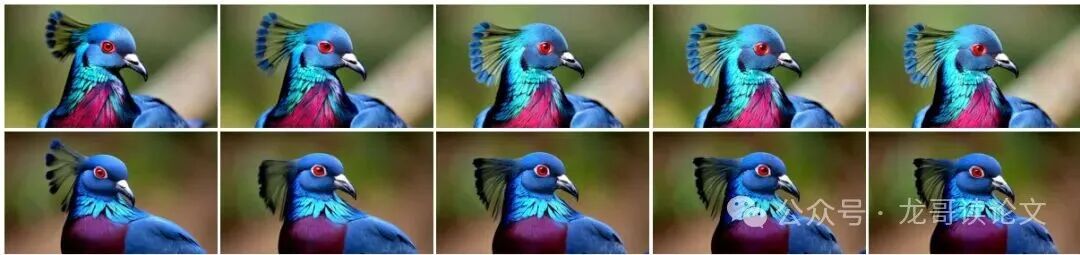 MonarchRT生成示例：鸽子