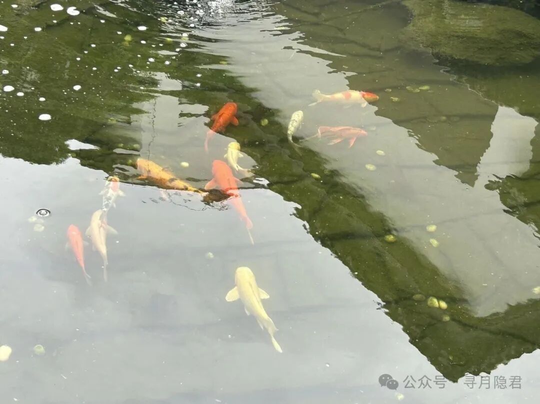 数据库删除错误示意图