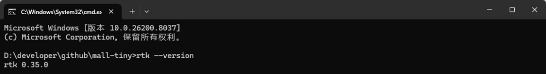 Windows终端中成功运行rtk --version命令