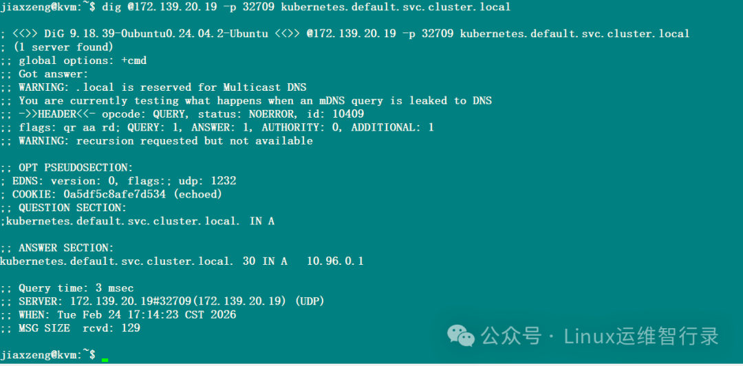 验证 UDP DNS 查询结果