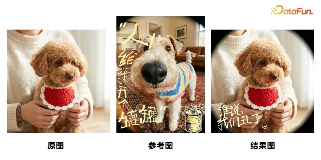 为宠物图片添加封面文字