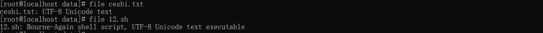 file命令识别文本和脚本文件示例