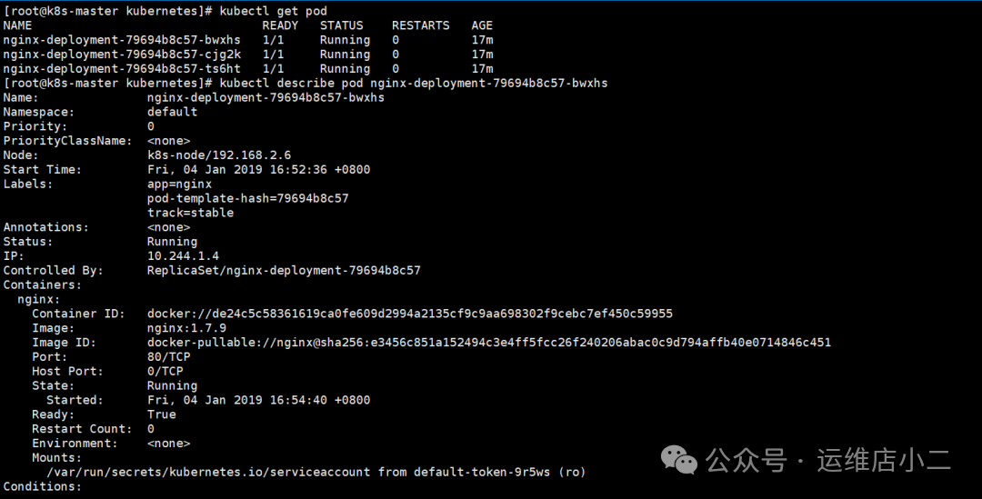 查看Pod镜像版本