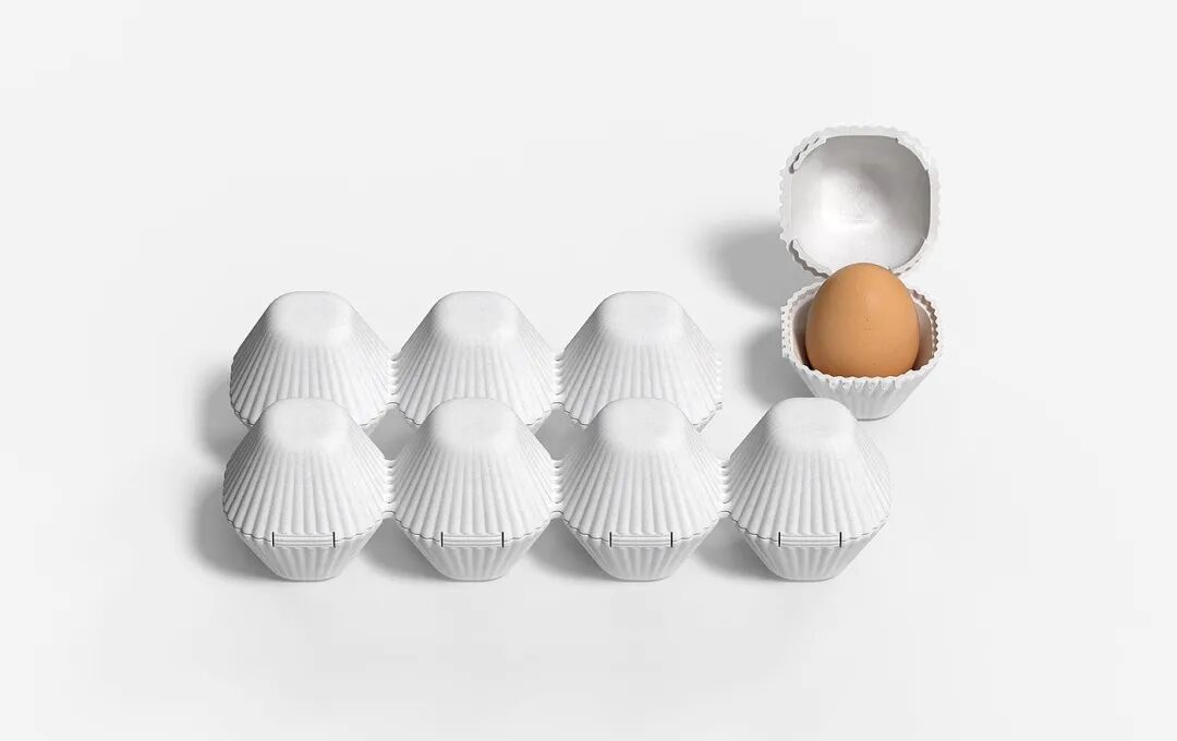 白色背景上排列的白色蛋托，其中一个露出棕色鸡蛋