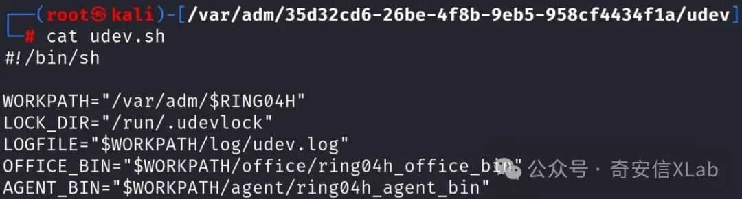 终端界面显示一个名为 udev.sh 的脚本文件内容，背景为深色主题，文字为白色和绿色
