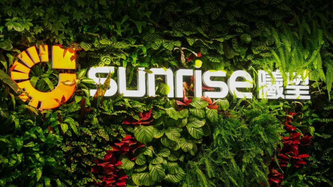 曦望(sunrise)品牌标识墙
