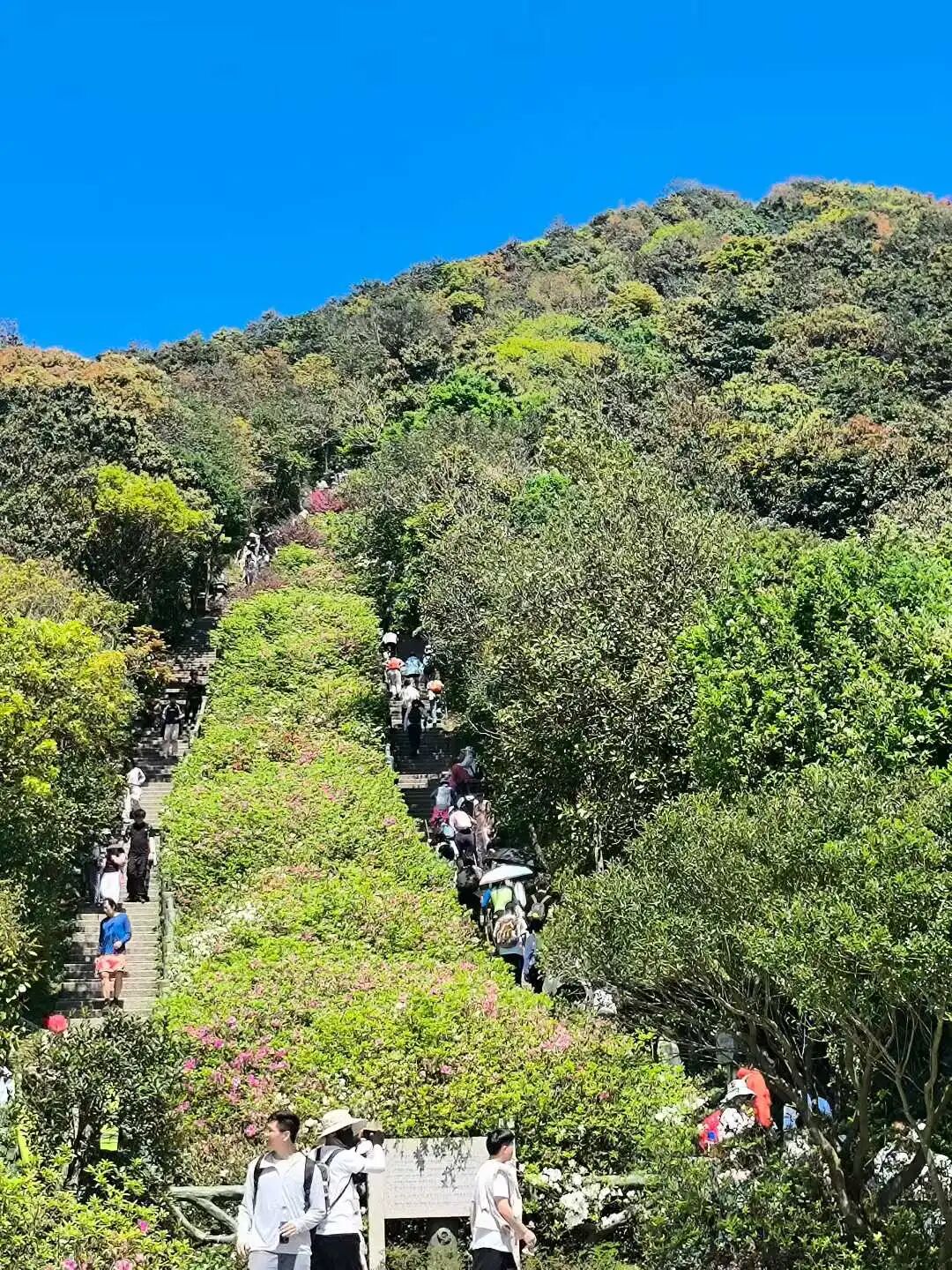 山间步道风景图