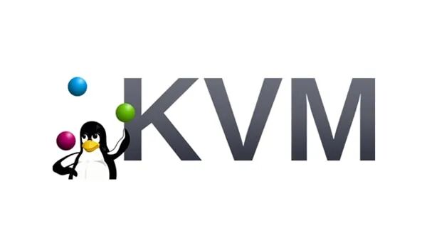 KVM 标志