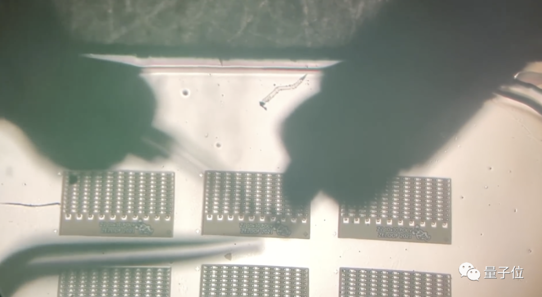 显微镜下因污染导致短路的芯片缺陷