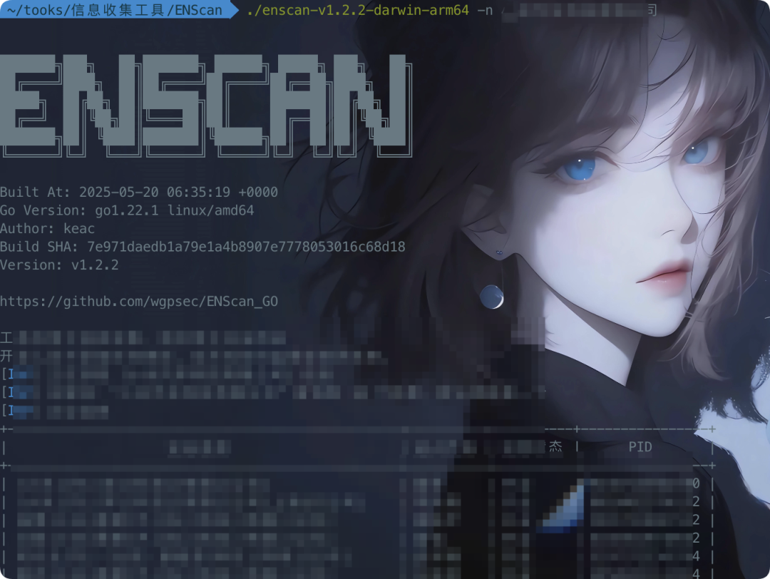 ENscan信息收集工具运行截图
