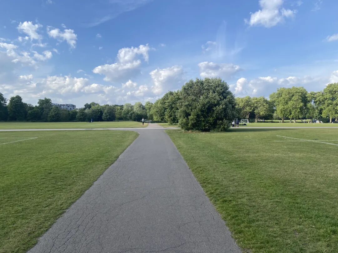 宁静的公园小径