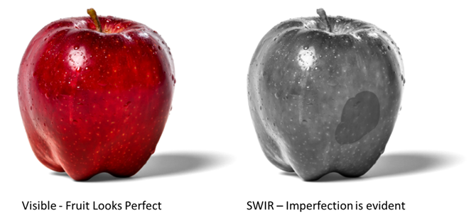 农产品SWIR检测示意图