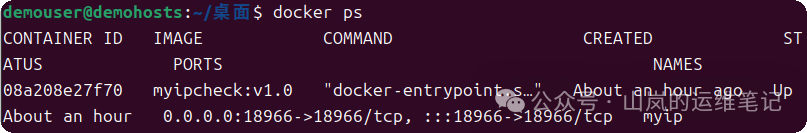 Docker容器列表显示myip容器运行状态