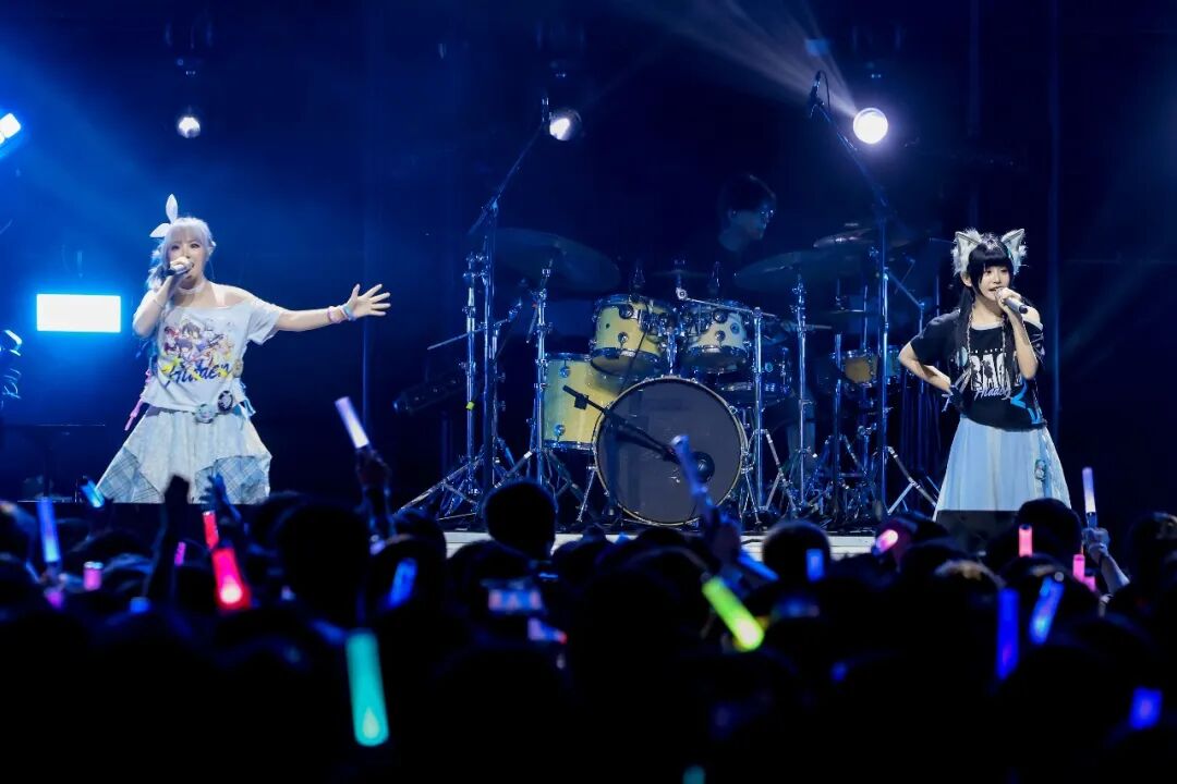 二游音乐会观众与歌手互动