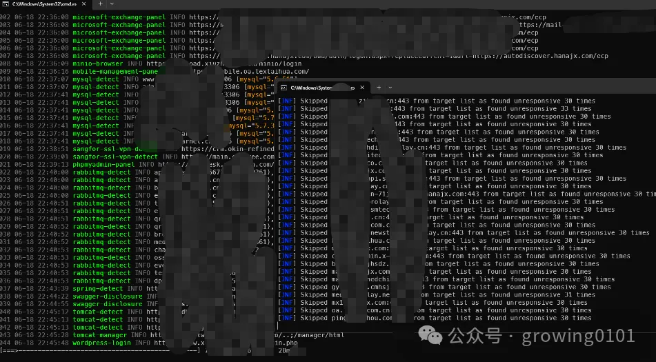 自动化扫描结果