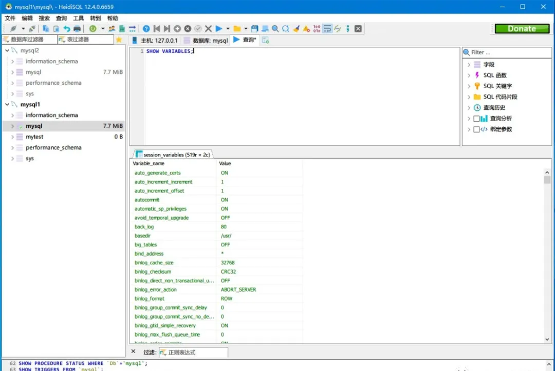 HeidiSQL连接MySQL数据库并执行查询的界面