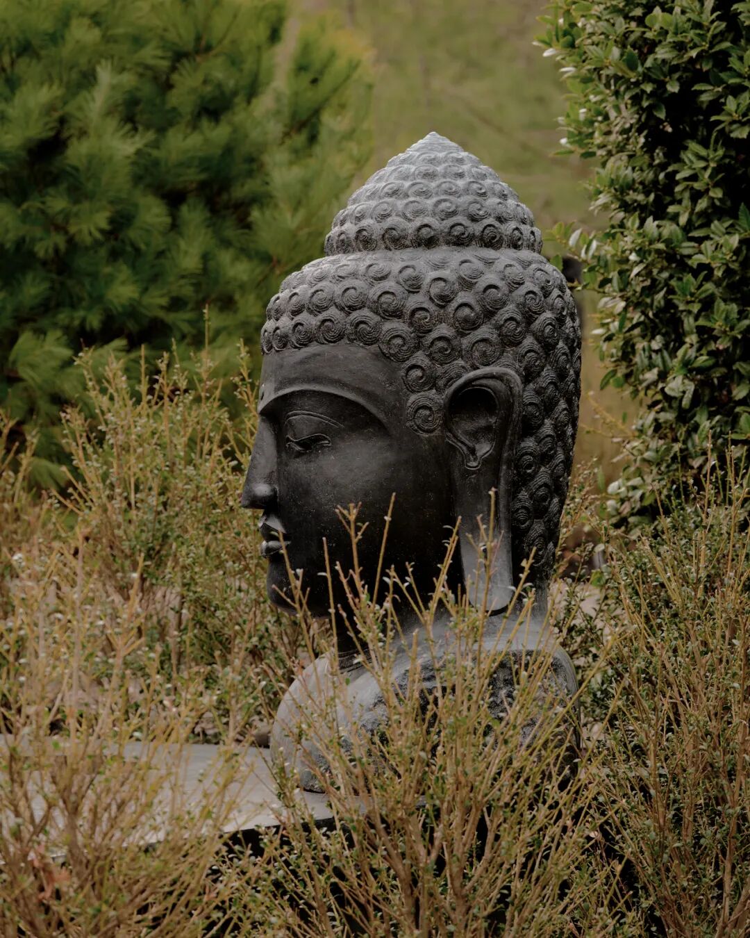 庭院中的黑色石雕佛头