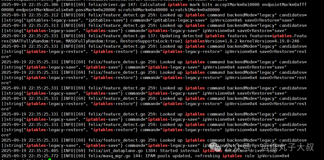 Calico后端模式日志