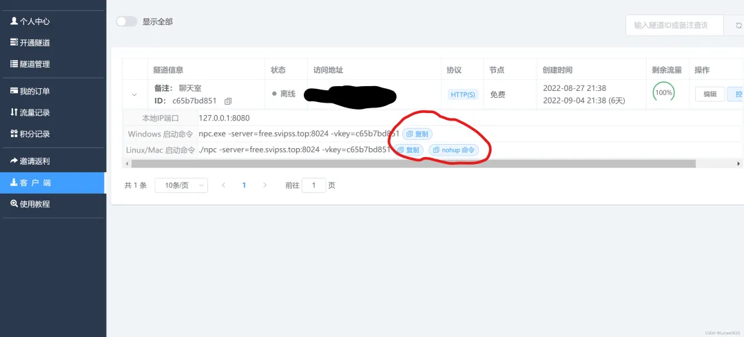 内网穿透隧道管理界面，含启动命令