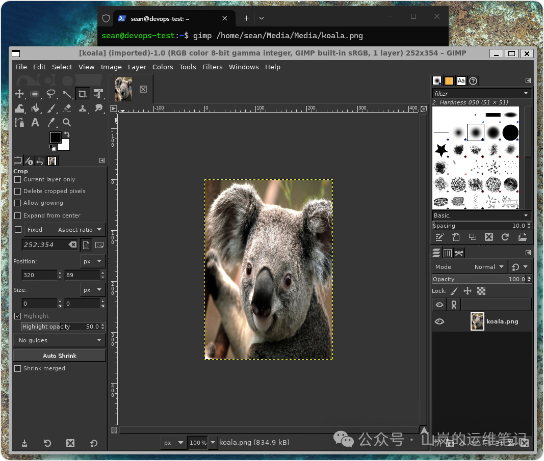 GIMP图形编辑器打开koala.png图片的工作界面